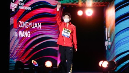 游泳世锦赛11日：男单3米板男双10米台中国队冲金