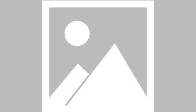 布雷斯特 VS 里尔