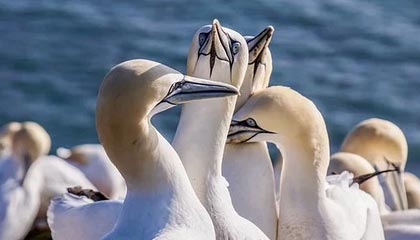 斗球体育直播下载-广东男篮晒全队为杜锋庆生视频&徐昕出镜,各位老哥想为杜指导送上什么祝福?