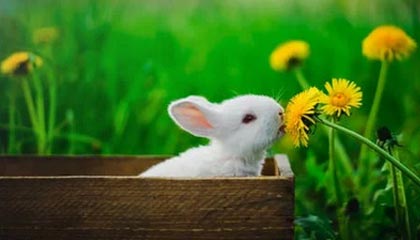 探索未来科技新体验——kaiyun官网全方位解读